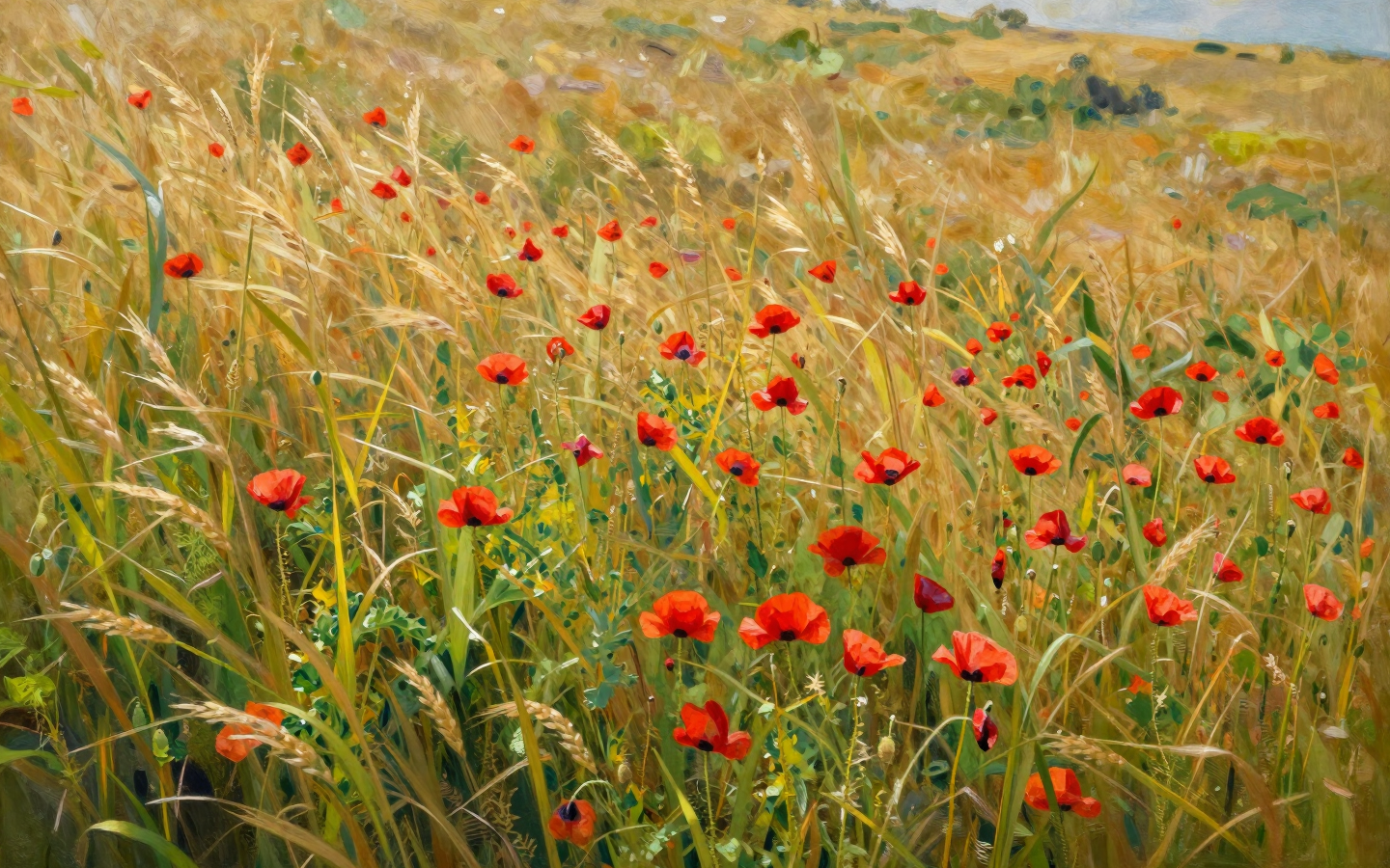 Red Poppies Blooming Across a Golden Wheat Field