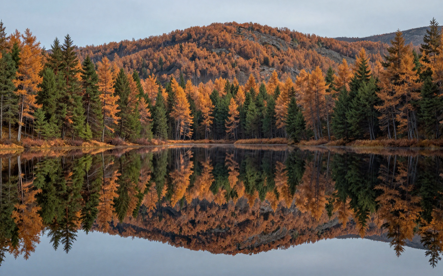 Autumn Mountain Lake Reflecting Colorful Forests and Evergreen Trees